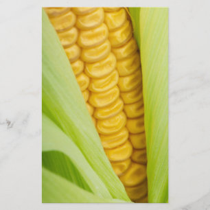 Fresh Corn custom flyers