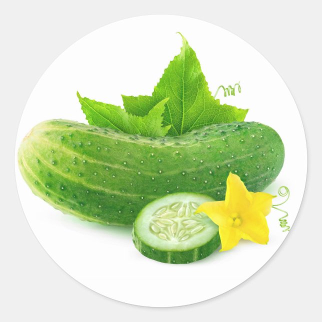 Fresh cucumber classic round sticker (Front)