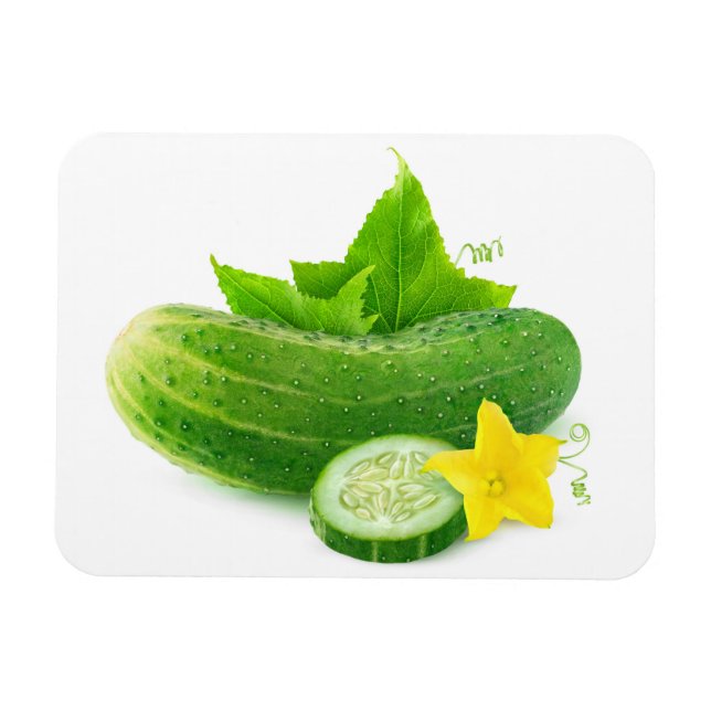 Fresh cucumber magnet (Horizontal)