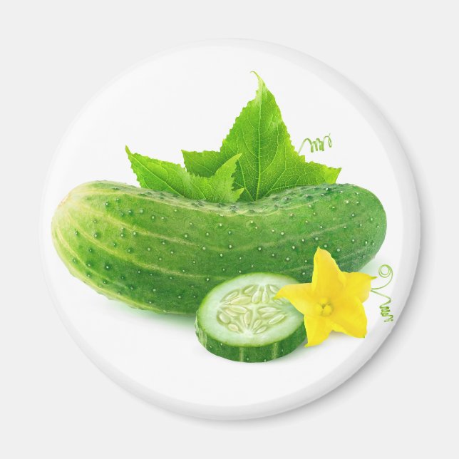 Fresh cucumber magnet (Front)