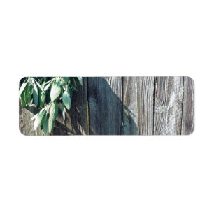 Fresh-cut Sage Barn-wood