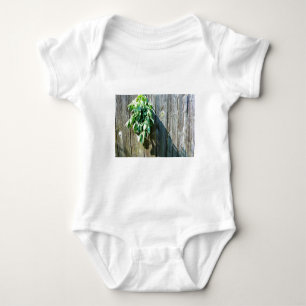 Fresh-cut Sage Barn-wood Baby Bodysuit