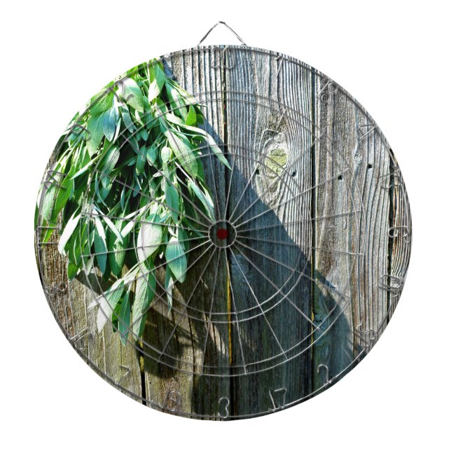 Fresh-cut Sage Barn-wood Dartboard (Front)