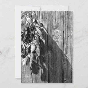 Fresh-cut Sage Barn-wood Grayscale