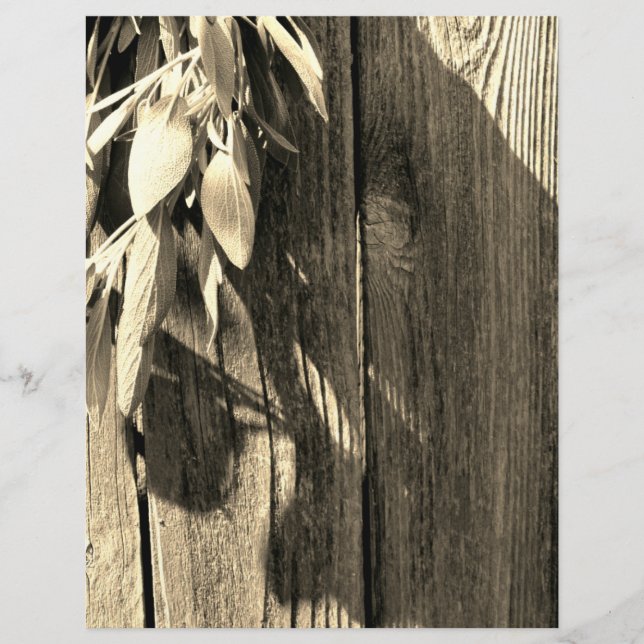 Fresh-cut Sage Barn-wood Grayscale (Front)