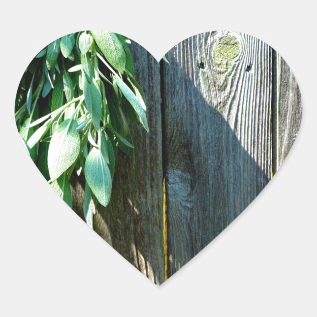 Fresh-cut Sage Barn-wood Heart Sticker (Front)