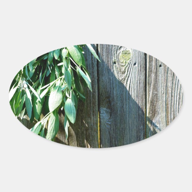 Fresh-cut Sage Barn-wood Oval Sticker (Front)