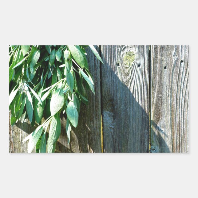 Fresh-cut Sage Barn-wood Sticker (Front)