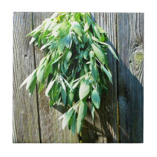 Fresh-cut Sage Barn-wood Tile