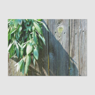 Fresh-cut Sage Barn-wood Tissue Paper