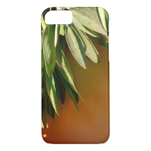 Fresh-cut Sage iPhone 8/7 Case