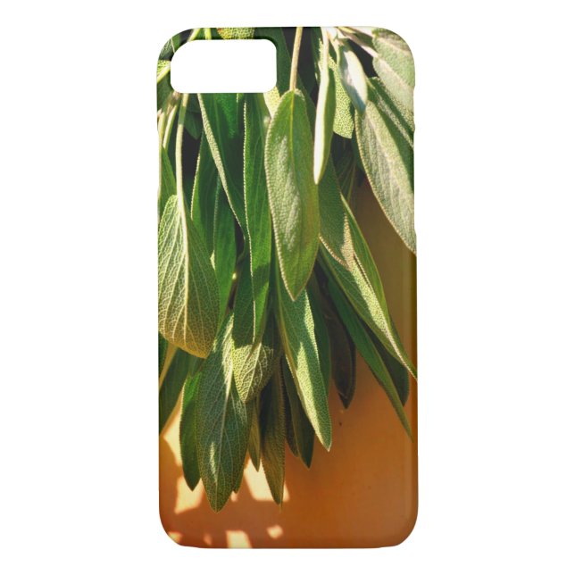 Fresh-cut Sage Case-Mate iPhone Case (Back)