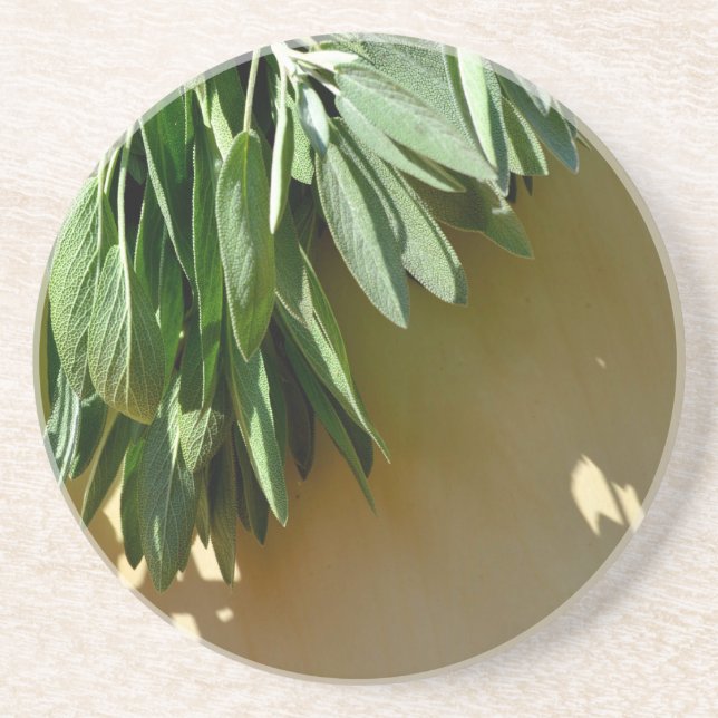 Fresh-cut Sage Coaster (Front)