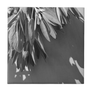 Fresh-cut Sage Grayscale Tile