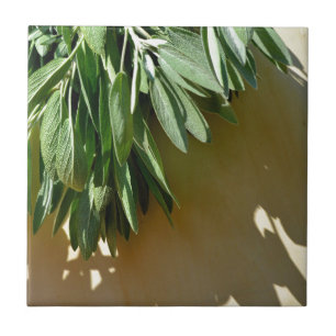Fresh-cut Sage Tile