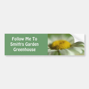 Fresh Daisy Bumper Sticker