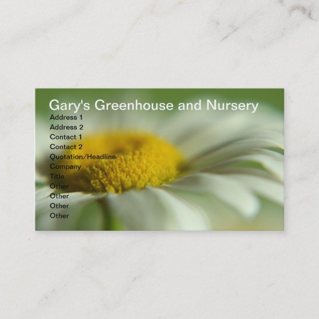 Fresh Daisy Business Card (Front)