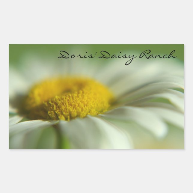 Fresh Daisy Sticker (Front)