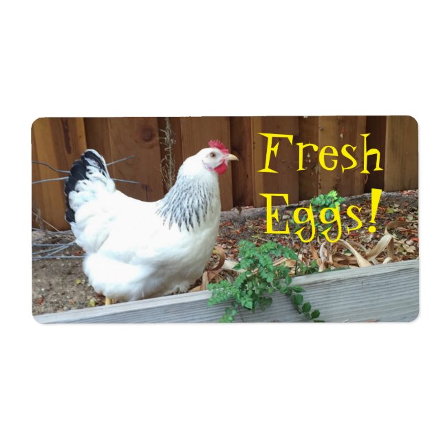 Fresh Eggs (Front)