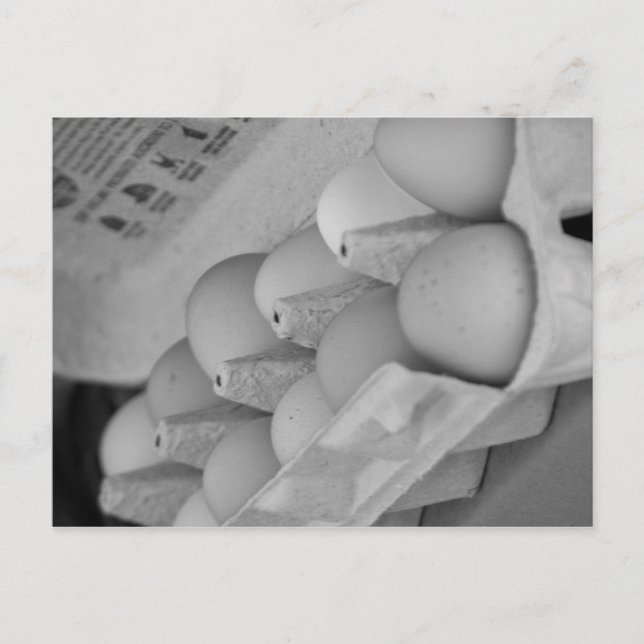 Fresh Eggs Postcard (Front)