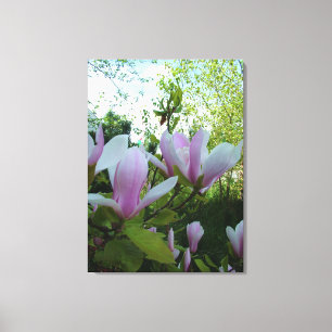 Fresh, elegant spring light purple magnolia flower canvas print