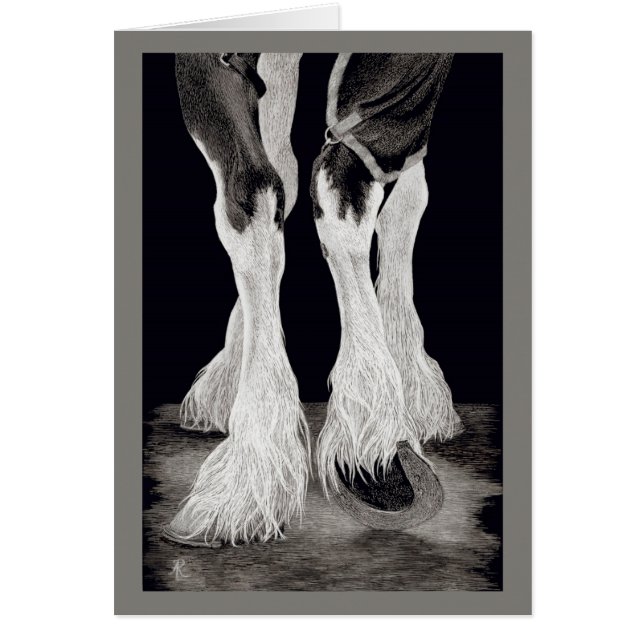 "Fresh Feathers" - Shire Draught   Horse (Front)