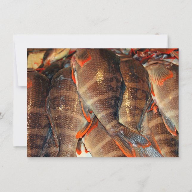 Fresh fish Card (Front)