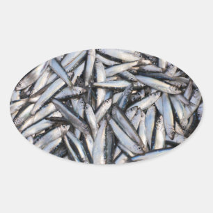 Fresh fish catch - food ingredients. oval sticker