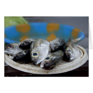 Fresh fish on fish market Mercado de Peixe),