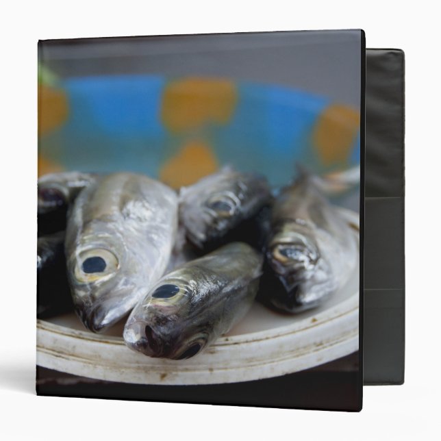Fresh fish on fish market Mercado de Peixe), Binder (Front/Inside)