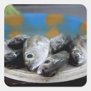 Fresh fish on fish market Mercado de Peixe), Square Sticker