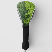 Fresh Food Lettuce and Broccoli