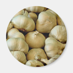 Fresh garlic Photo Magnet