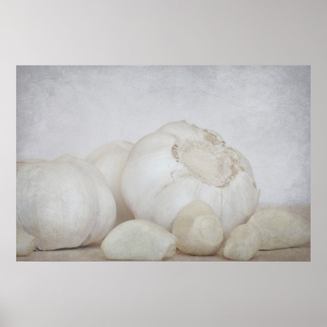 Fresh Garlic Poster (Front)