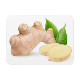 Fresh ginger magnet