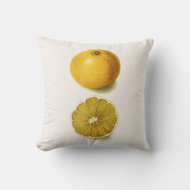 Fresh Grapefruit Throw Pillow (Front)