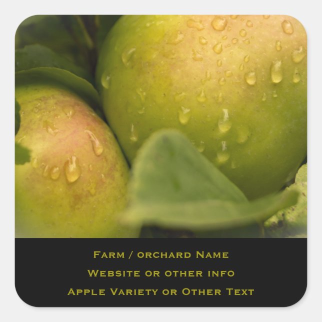 Fresh Green Apples with a Misty Border Business Square Sticker (Front)