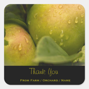 Fresh Green Apples with a Misty Border Thank You Square Sticker