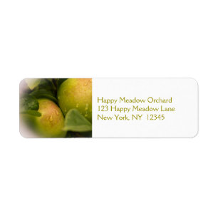 Fresh Green Apples with Misty Border