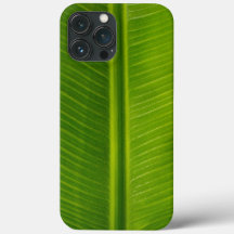Fresh green banana leaf pattern