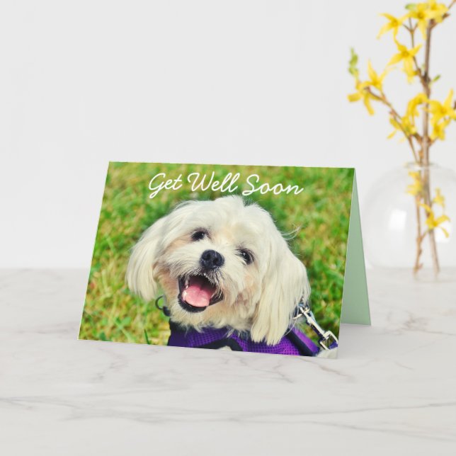 Fresh Green Dog and Encouragement Get Well  Card (Yellow Flower)