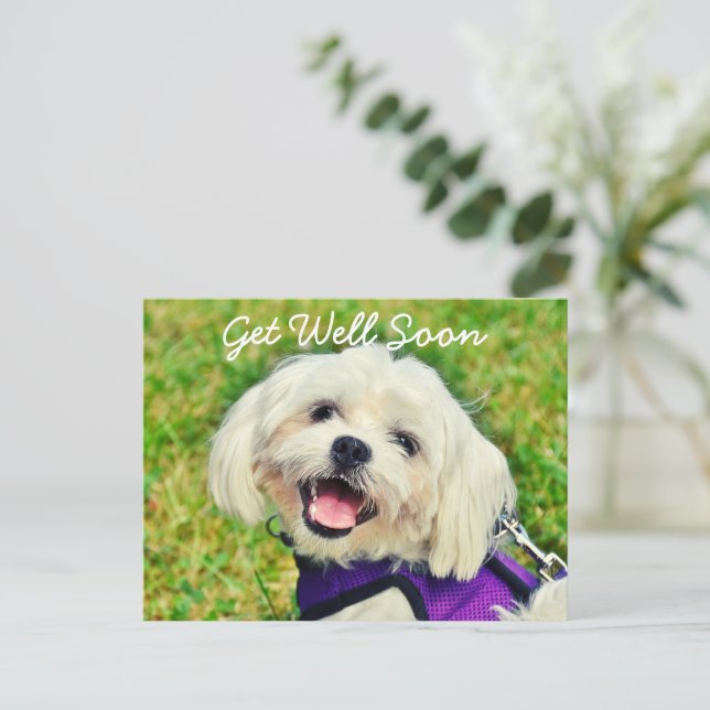 Fresh Green Dog and Encouragement Get Well  Postcard (Standing Front)