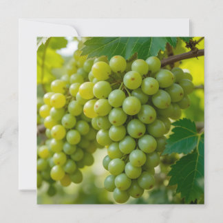 Fresh Green Grape Invitation