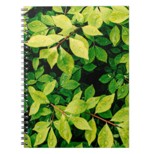 fresh green leaves look beautiful and very natural notebook