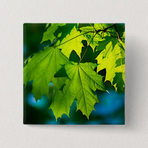 Fresh green maple leaves 2 inch square button