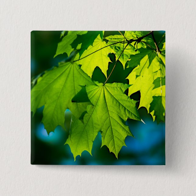 Fresh green maple leaves 2 inch square button (Front)