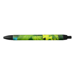 Fresh green maple leaves black ink pen
