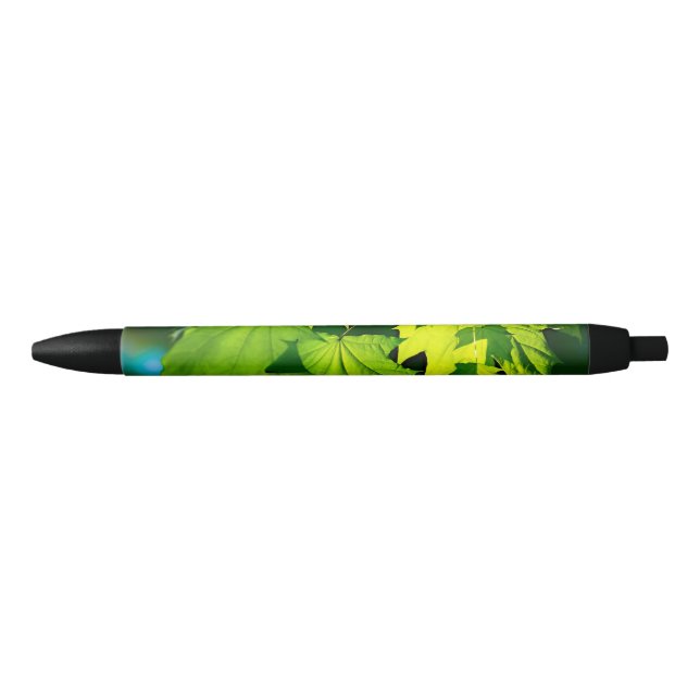 Fresh green maple leaves black ink pen (Front)