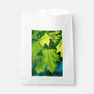 Fresh green maple leaves favour bag