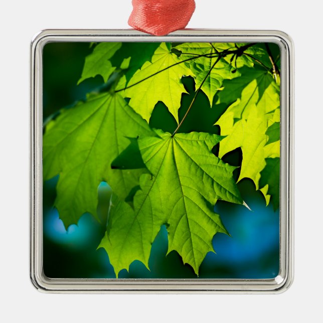 Fresh green maple leaves metal ornament (Front)